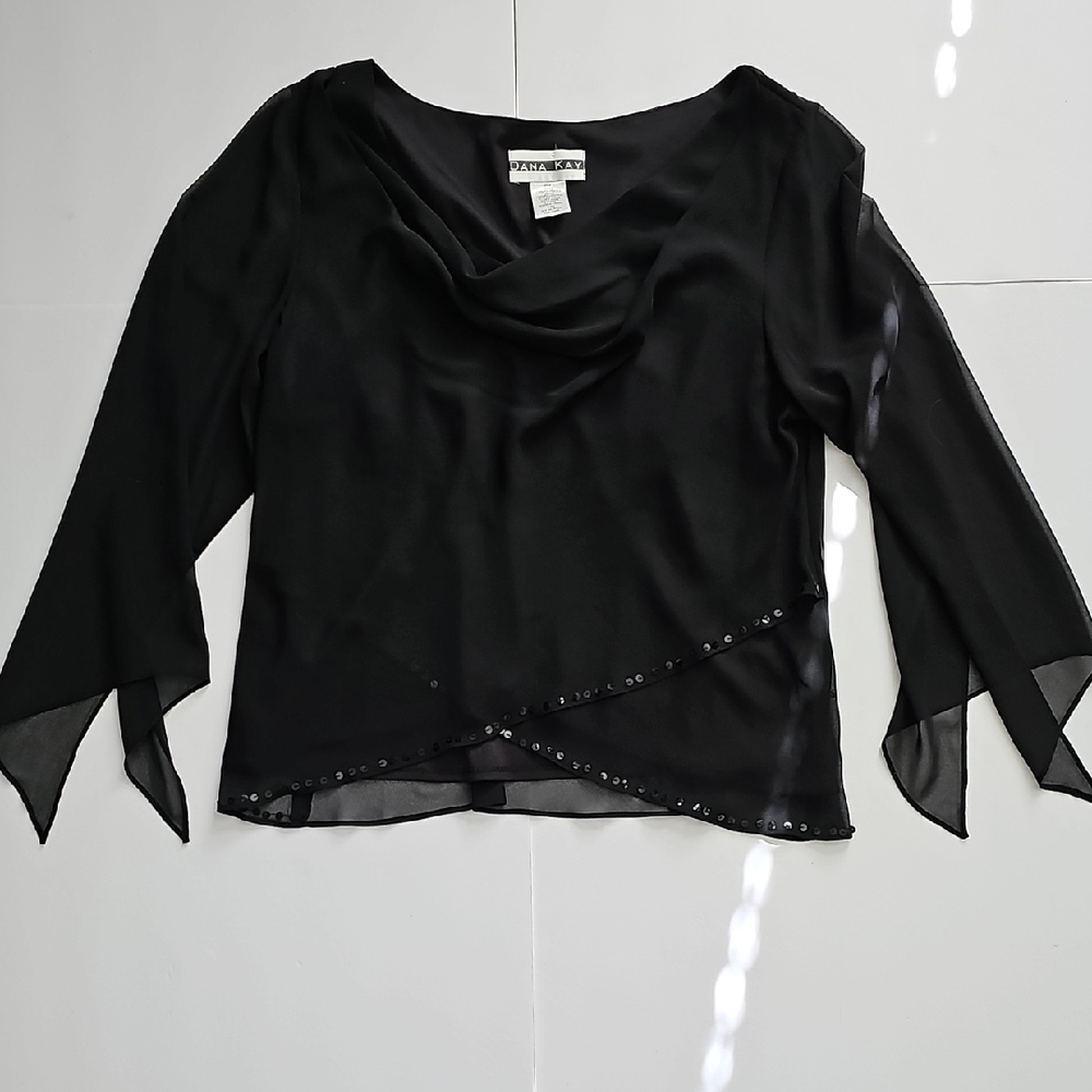 Dana Kay Black Sheer Blouse with Embellishments